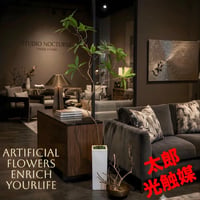 光触媒　人工観葉植物　ウォールグリーン　フェイクグリーン　クネクネパキラ105