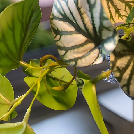 光触媒　人工観葉植物　ウォールグリーン　フェイクグリーン　スイカぺぺ3237