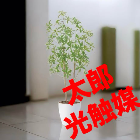 光触媒　人工観葉植物　ウォールグリーン　フェイクグリーン　フレッシュアセビ1.5@@@