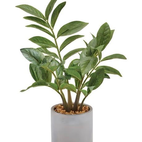 光触媒　人工観葉植物　ウォールグリーン　フェイクグリーン　ザミフォリアセメント