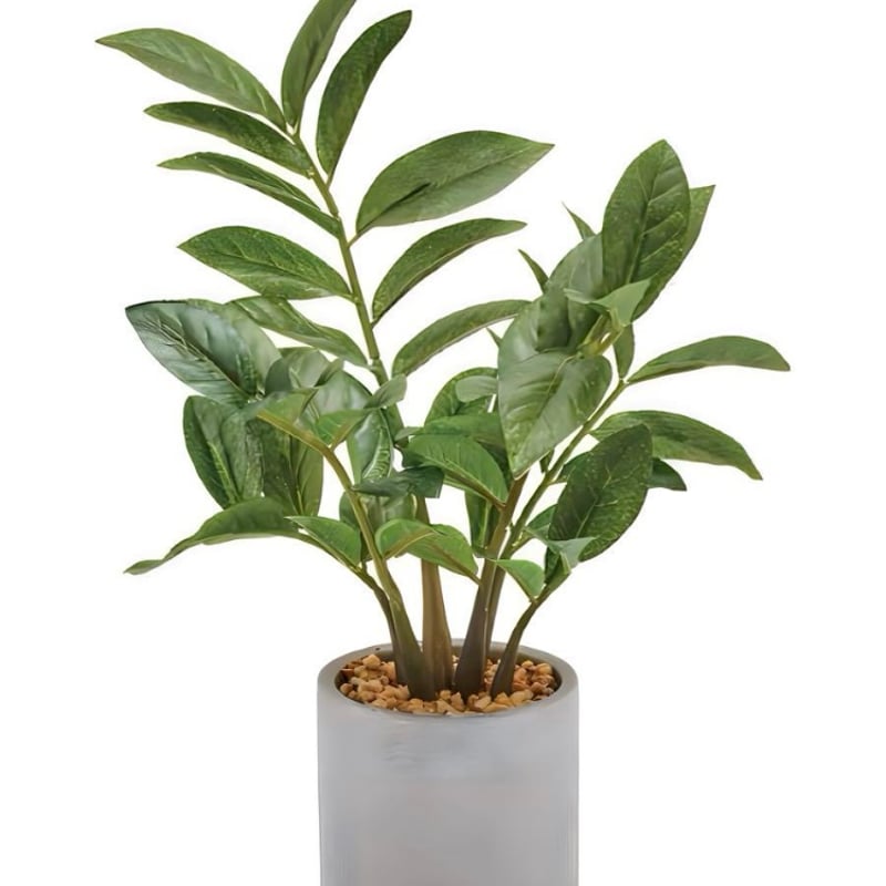 光触媒 人工観葉植物 ウォールグリーン フェイクグリーン ザミフォリア 