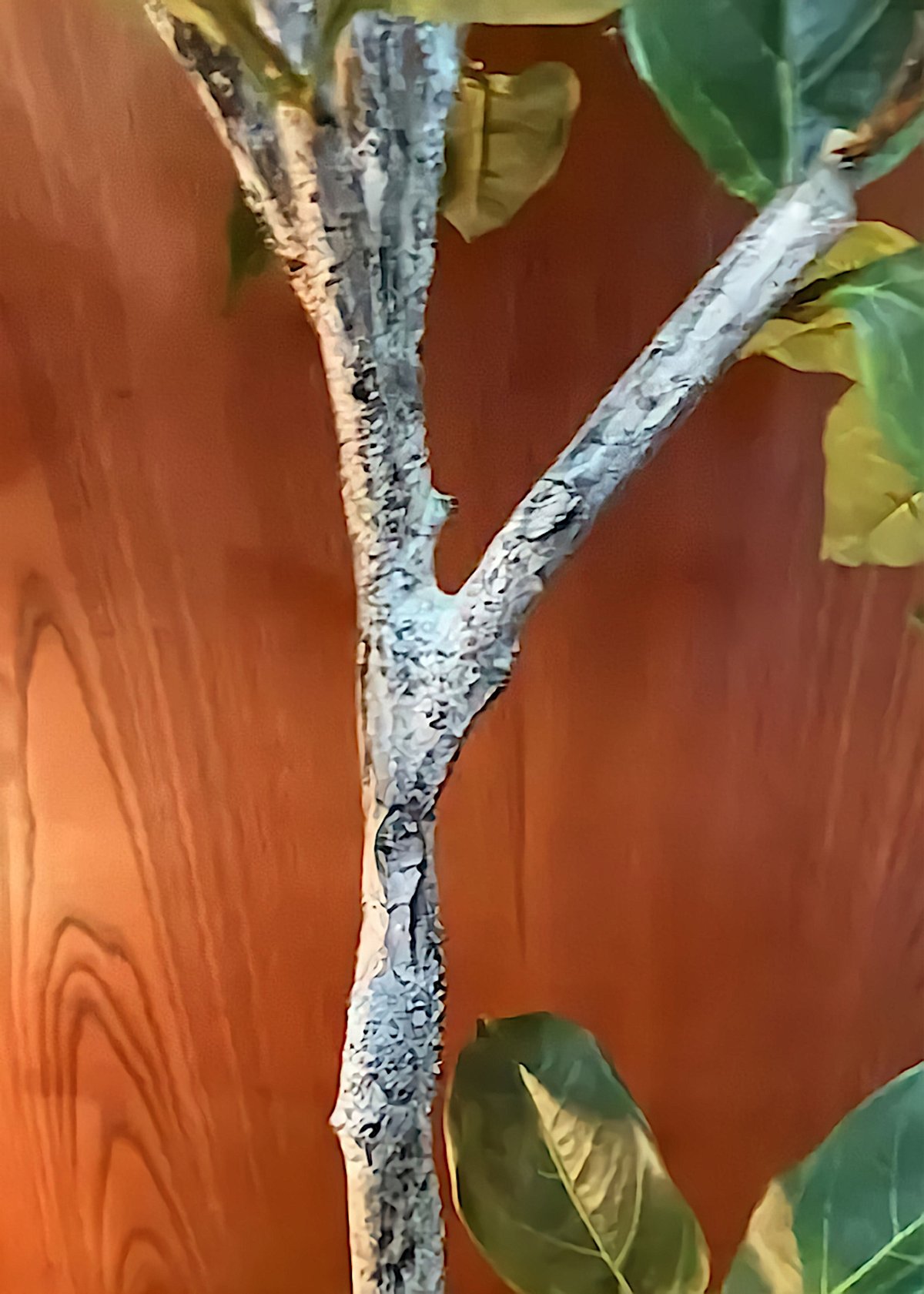 光触媒　人工観葉植物　ウォールグリーン　フェイクフラワー　バンヤンツリー 光触媒 人工観葉植物 ウォールグリーン フェイク フラワー