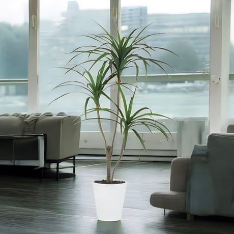 光触媒　人工観葉植物　ウォールグリーン　フェイクグリーン　東北コンシンネ110