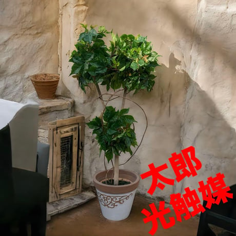 光触媒　人工観葉植物　ウォールグリーン　フェイクグリーン　アイビーポトス１０５U