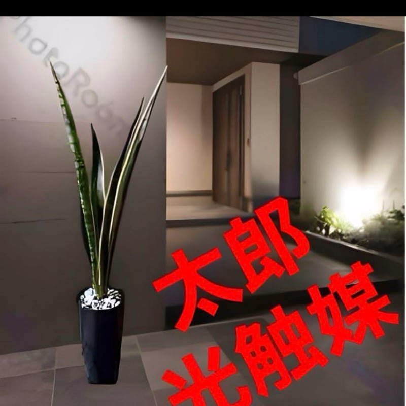 光触媒 人工観葉植物 ウォールグリーン フェイクグリーン サンスベリア