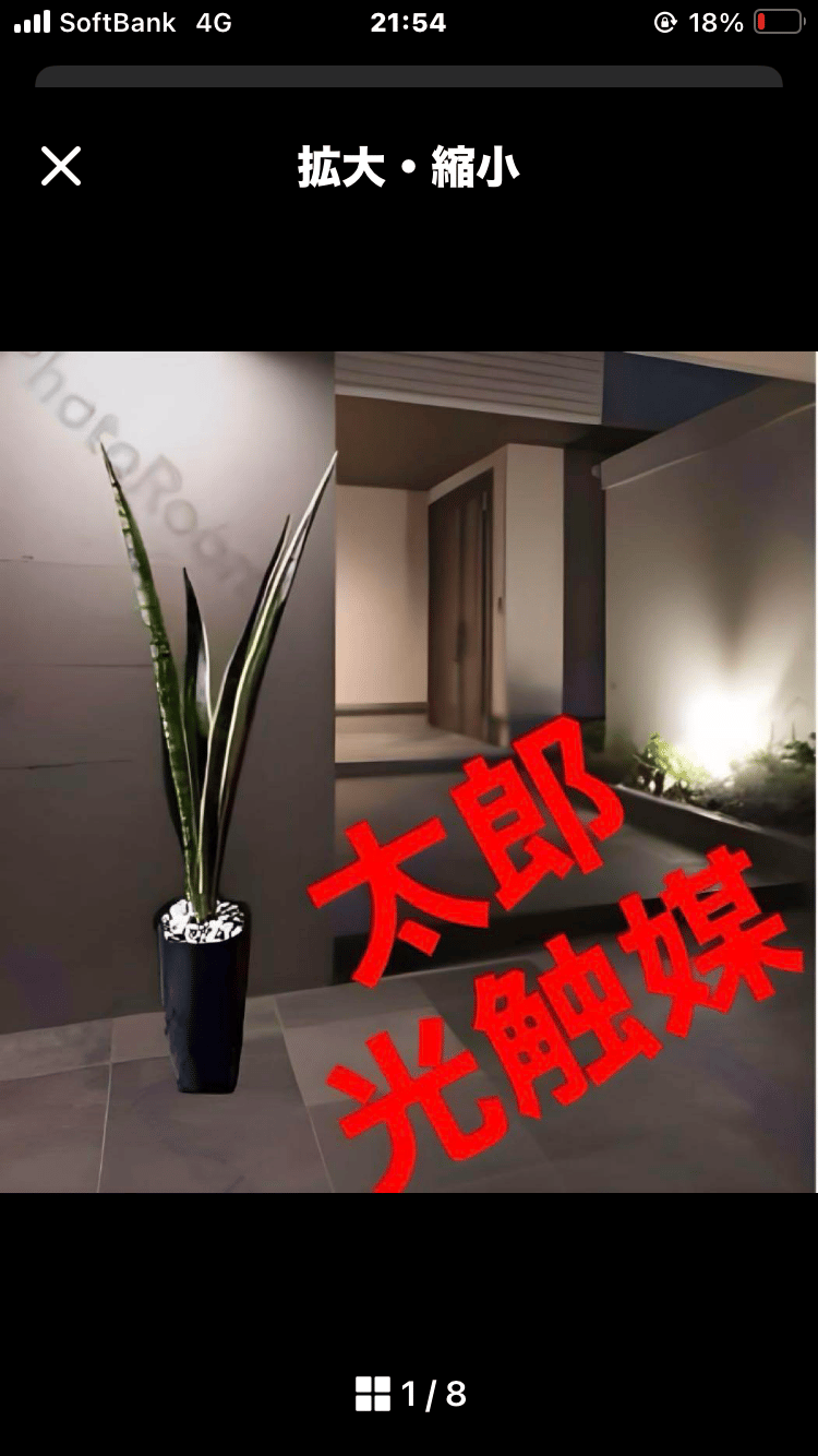 光触媒 人工観葉植物 ウォールグリーン フェイクグリーン サンスベリア