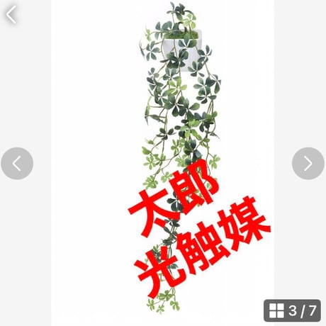 光触媒　人工観葉植物　ウォールグリーン　フェイクグリーン　壁掛けシュガーバイン