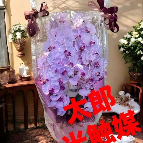 光触媒　人工観葉植物　ウォールグリーン　フェイクグリーン　胡蝶蘭8550