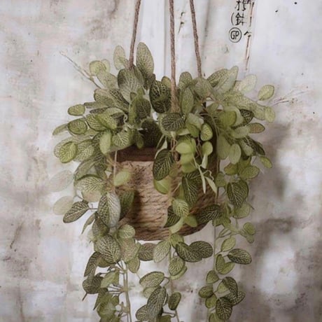光触媒　人工観葉植物　ウォールグリーン　フェイクグリーン　フィットニアハンギング@@