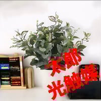 光触媒　人工観葉植物　ウォールグリーン　フェイクグリーン　エバーフレッシュ185 光触媒 人工観葉植物 ウォールグリーン フェイクグリーン