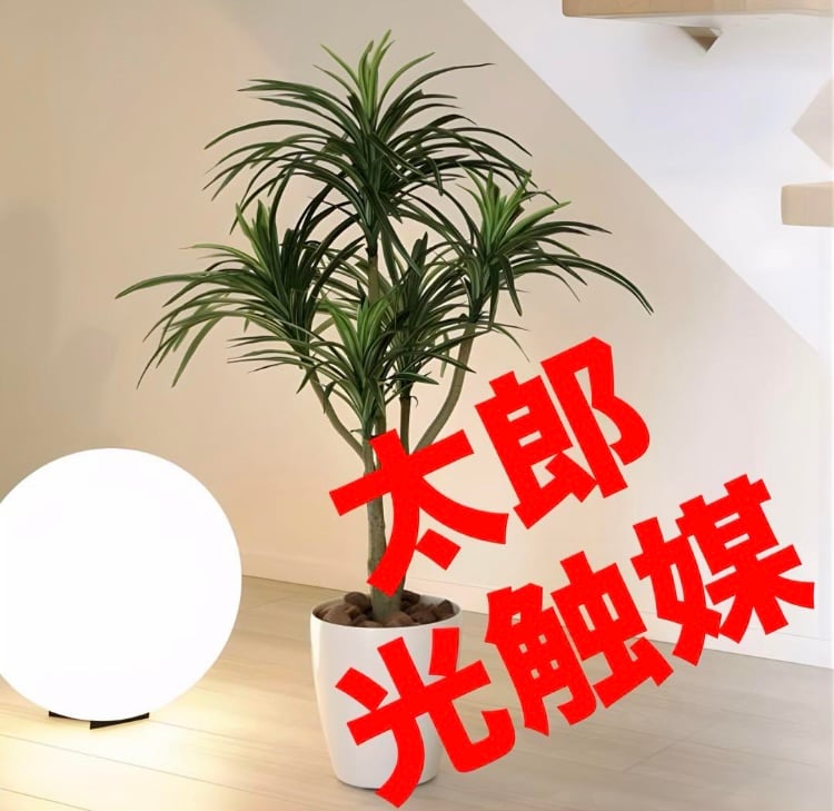 光触媒　人工観葉植物　ウォールグリーン　フェイクグリーン　カシワバゴム1.8@g 光触媒 人工観葉植物 ウォールグリーン フェイクグリーン カシワバゴム