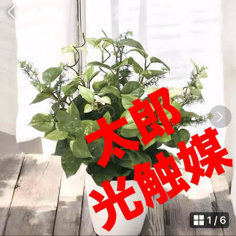 光触媒　人工観葉植物　ウォールグリーン　フェイクグリーン　ミックスポトス@@@