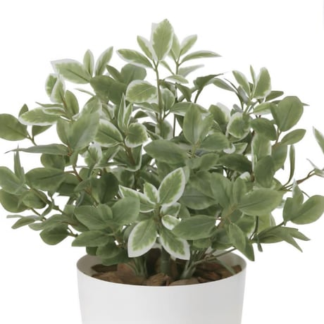 光触媒　人工観葉植物　ウォールグリーン　フェイクグリーン　ミニリーフLgpt
