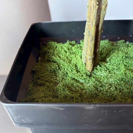 光触媒　人工観葉植物　ウォールグリーン　フェイクグリーン　ゴールドファーンスプレ