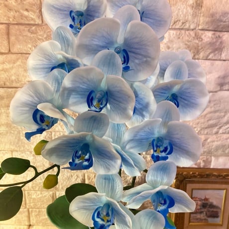 光触媒　人工観葉植物　ウォールグリーン　フェイクグリーン　リアル胡蝶蘭ｂｌ