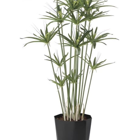 光触媒　人工観葉植物　ウォールグリーン　　フェイクグリーン　パピルス1.25