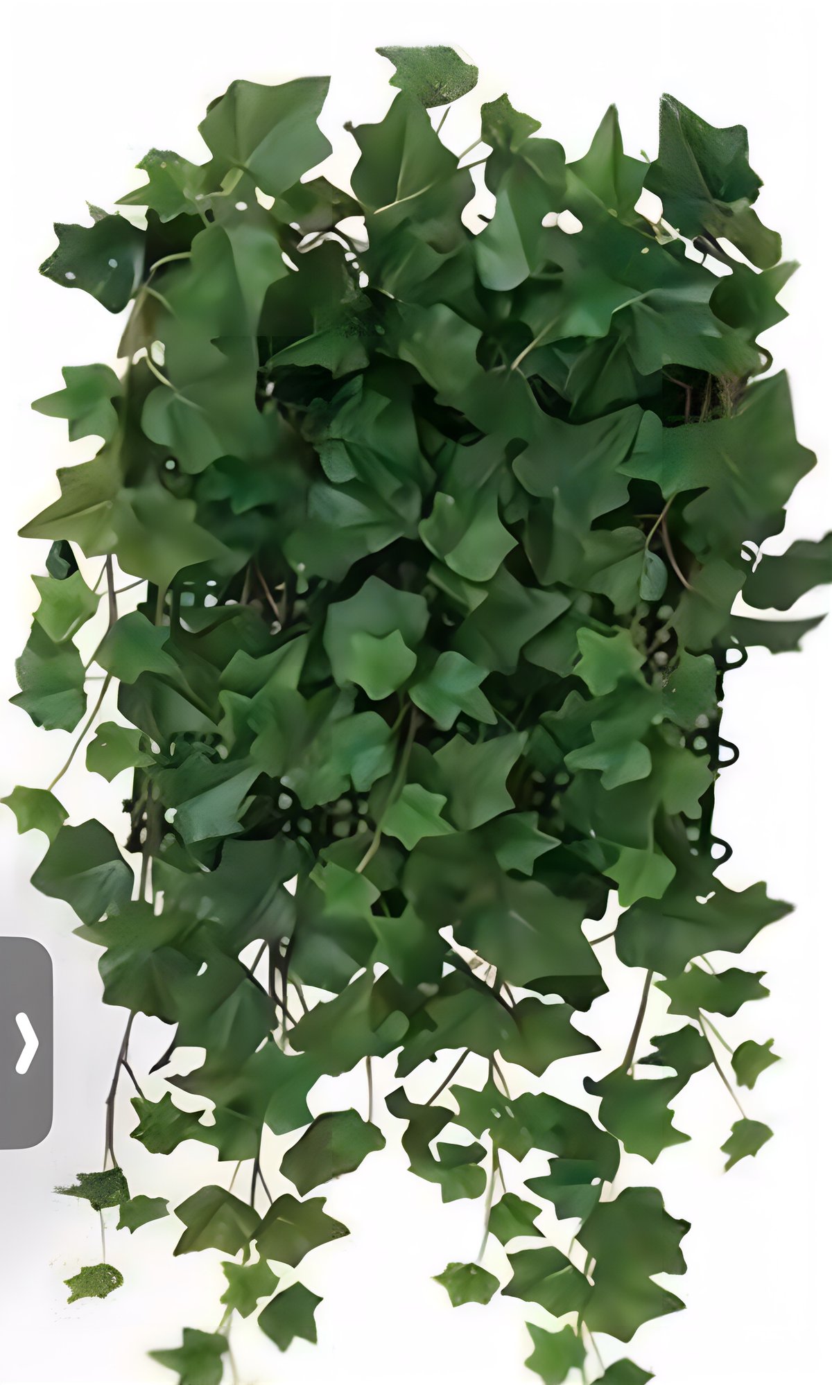 光触媒 人工観葉植物 ウォールグリーン フェイクグリーン 壁面
