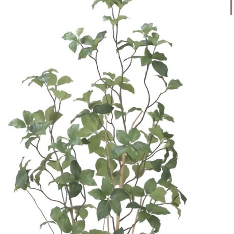 光触媒　人工観葉植物　ウォールグリーン　フェイクグリーン　サラサドウダン1.6