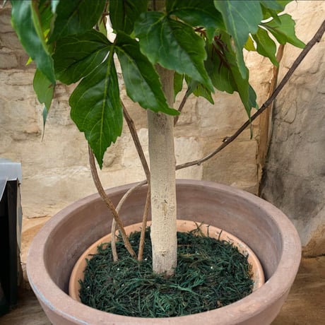 光触媒　人工観葉植物　ウォールグリーン　フェイクグリーン　アイビーポトス１０５U
