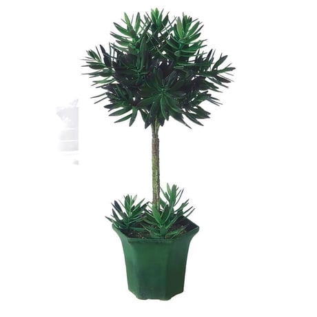光触媒　人工観葉植物　ウォールグリーン　フェイクグリーン　エケベリアトピアリー3