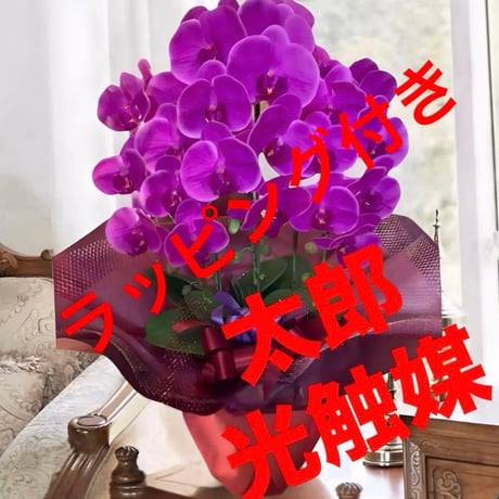 光触媒　人工観葉植物　ウォールグリーン　フェイクグリーン　リアル胡蝶蘭74