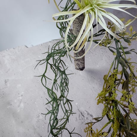 光触媒　人工観葉植物　ウォールグリーン　フェイクグリーン　壁掛けチランジア