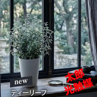 光触媒　人工観葉植物　ウォールグリーン　フェイクグリーン　ティーリーフ