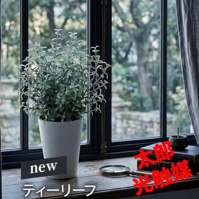 太郎's STORE