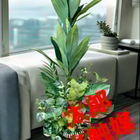 光触媒　人工観葉植物　ウォールグリーン　フェイクグリーン　マッサンアレンジgt2 光触媒 人工観葉植物 ウォールグリーン フェイクグリーン マッサン