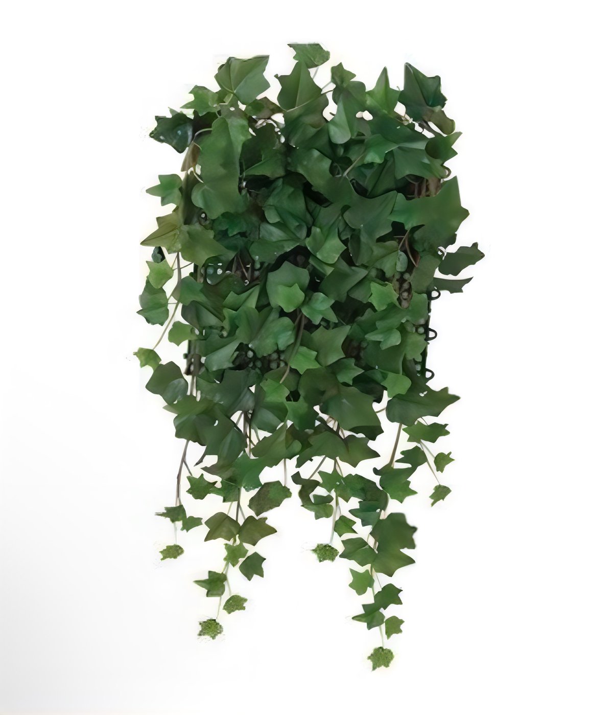 光触媒 人工観葉植物 ウォールグリーン フェイクグリーン 壁面