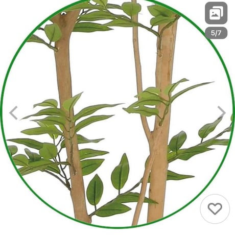 光触媒　人工観葉植物　ウォールグリーン　フェイクグリーン　ソヨゴ1.6m