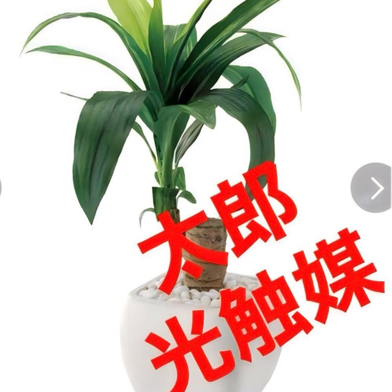 光触媒 人工観葉植物 ウォールグリーン フェイクグリーン ドラセナ 
