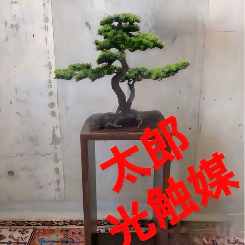 光触媒 人工観葉植物 ウォールグリーン フェイクグリーン 盆栽bonsai