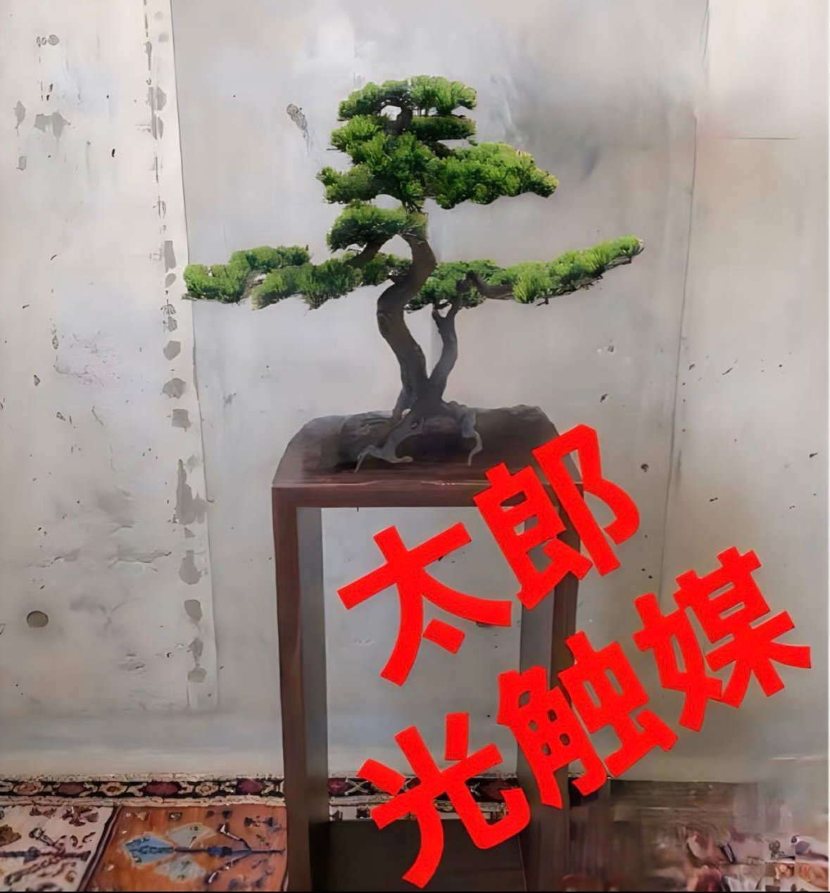 光触媒 人工観葉植物 ウォールグリーン フェイクグリーン 盆栽bonsai
