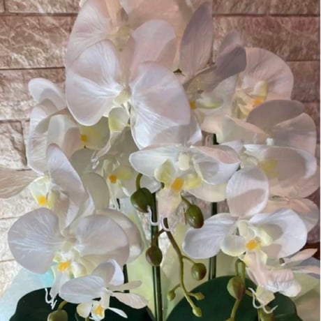 光触媒　人工観葉植物　ウォールグリーン　フェイクグリーン　胡蝶蘭7035aj