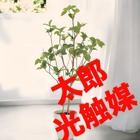 光触媒　人工観葉植物　ウォールグリーン　フェイクグリーン　サラサドウダン