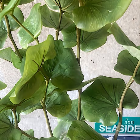 光触媒　人工観葉植物　ウォールグリーン　フェイクグリーン　シーグレープ120
