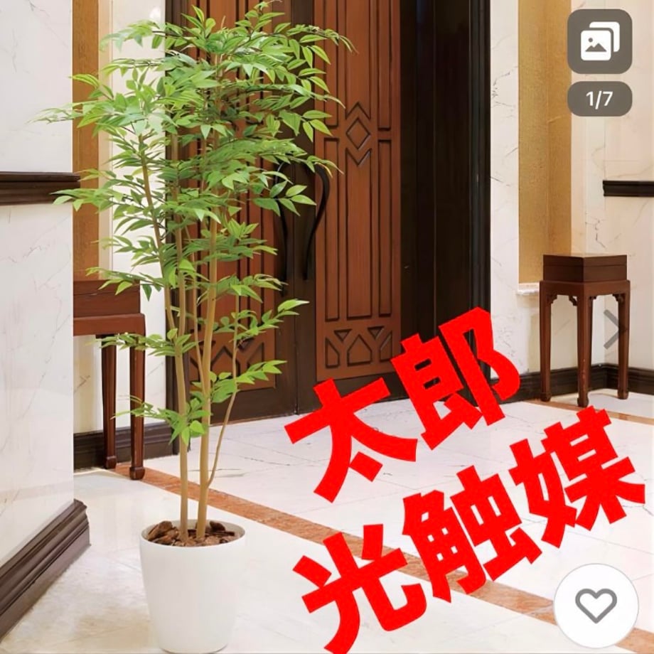 6698d99ba7ffd402beeeae19