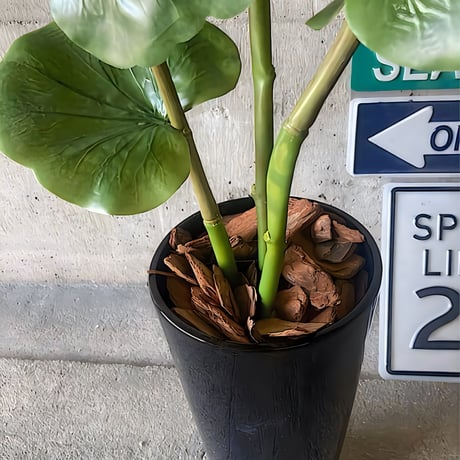 光触媒　人工観葉植物　ウォールグリーン　フェイクグリーン　シーグレープ120