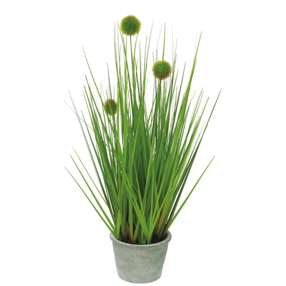 69dee1b89b4c19fb150bc8e9