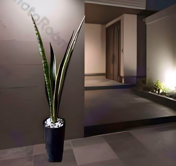 光触媒　人工観葉植物　ウォールグリーン　フェイクグリーン　サンスベリア75 光触媒 人工観葉植物 ウォールグリーン フェイクグリーン サンスベリア