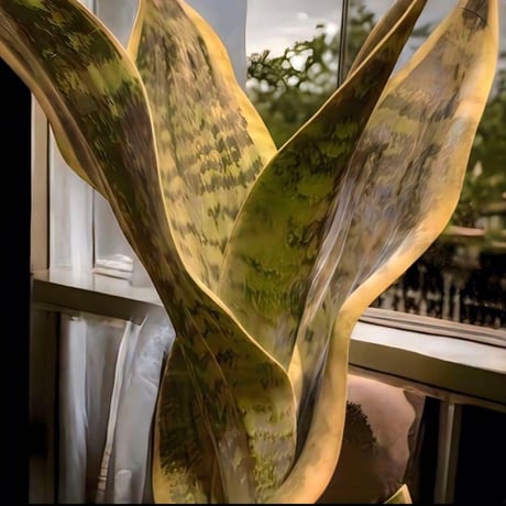 光触媒　人工観葉植物　ウォールグリーン　フェイクグリーン　サンセベリア49k