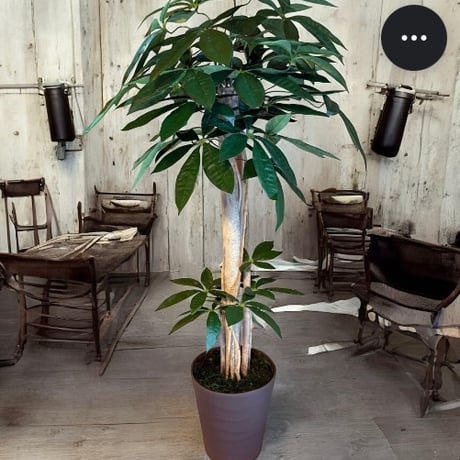光触媒　人工観葉植物　ウォールグリーン　フェイクグリーンパキラ11057