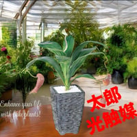 光触媒　人工観葉植物　ウォールグリーン　フェイクグリーン　ウツボカヅラ