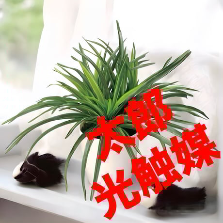 光触媒 人工観葉植物 ウォールグリーン フェイクグリーン 光触媒 人工観葉植物 ウォールグリーン フェイクグリーン