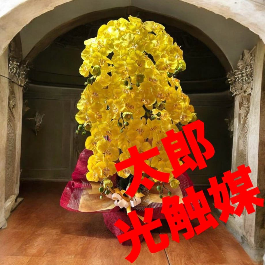 686f546ea51c7414bcc355cc