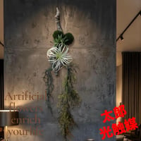 光触媒　人工観葉植物　ウォールグリーン　フェイクグリーン　壁掛けチランジア