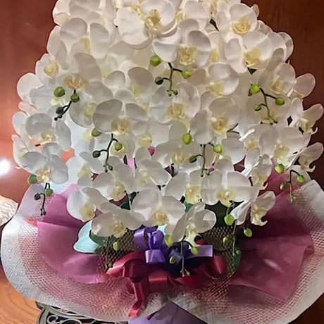 光触媒　人工観葉植物　ウォールグリーン　フェイクグリーン　リアル胡蝶蘭10本