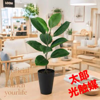 光触媒　人工観葉植物　ウォールグリーン　フェイクグリーン　デコラゴムルーツポット