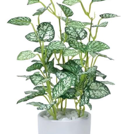 光触媒　人工観葉植物　ウォールグリーン　フェイクグリーン　ミニピポエスタポット@